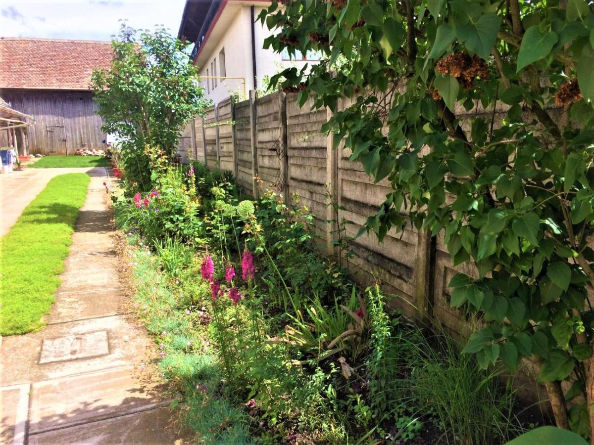 Warm Studio Sibiu Exterior photo